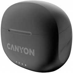 Canyon CNS-TWS8B