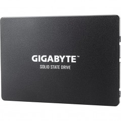 Gigabyte 256GB GP-GSTFS31256GTND