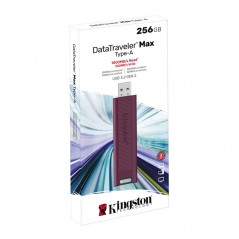 Kingston DataTraveler Max DTMAX/256GB