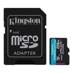 Kingston Canvas Go! Plus SDCG3/256GB