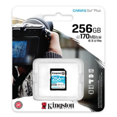 Kingston Canvas Go! Plus SDG3/256GB