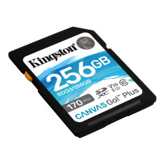 Kingston Canvas Go! Plus SDG3/256GB