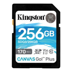 Kingston Canvas Go! Plus SDG3/256GB