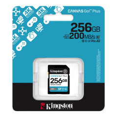 Kingston Canvas Go! Plus SDG4/256GB