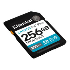 Kingston Canvas Go! Plus SDG4/256GB